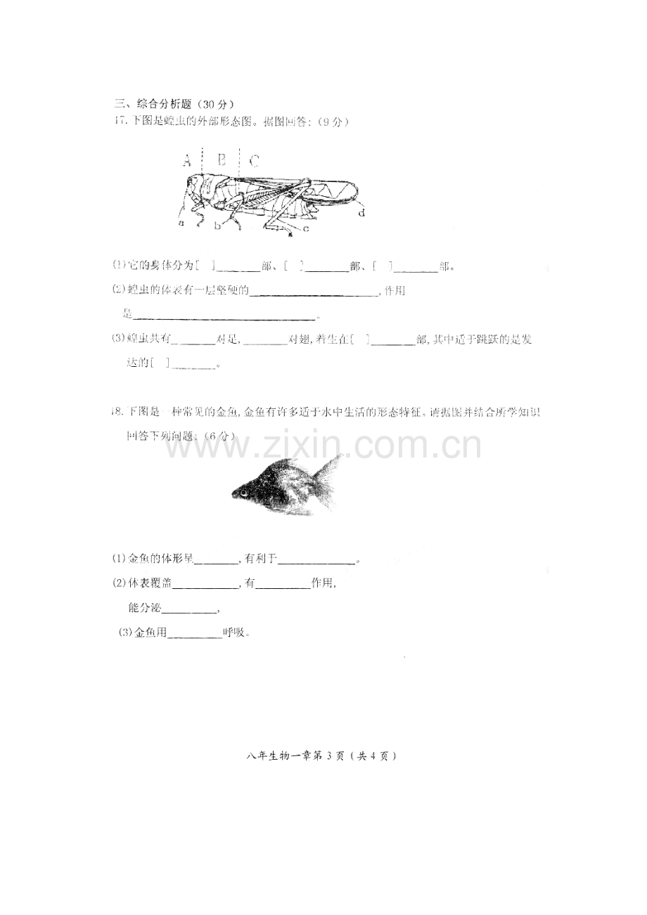 2015-2016学年八年级生物上册阶段检测试题.doc_第3页