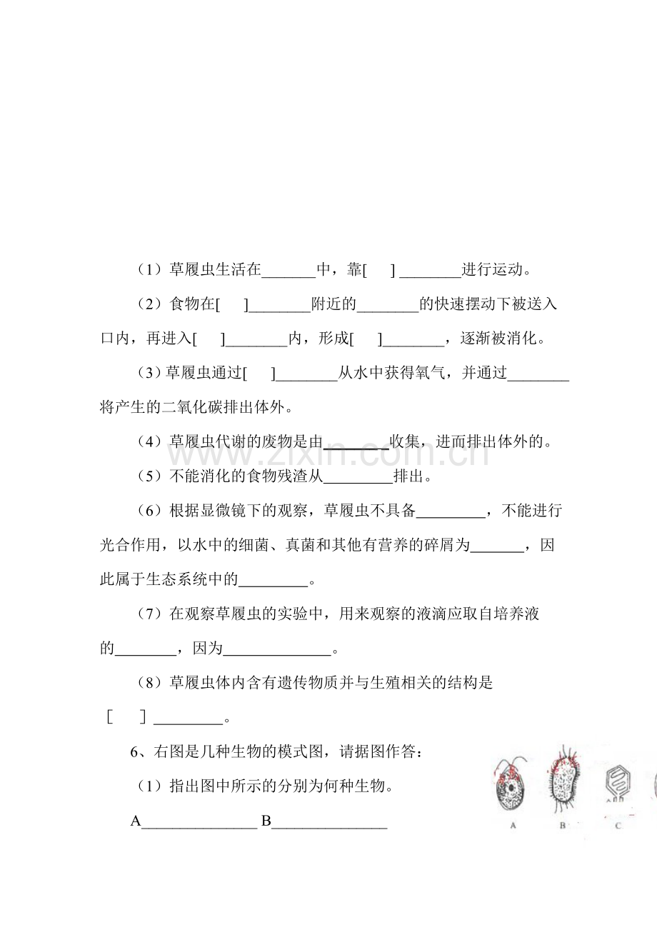 单细胞生物练习题1.doc_第2页