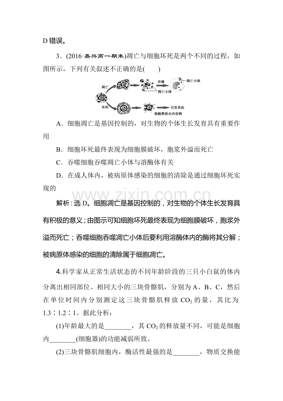 高一生物上学期课时模块综合检测25.doc_第2页