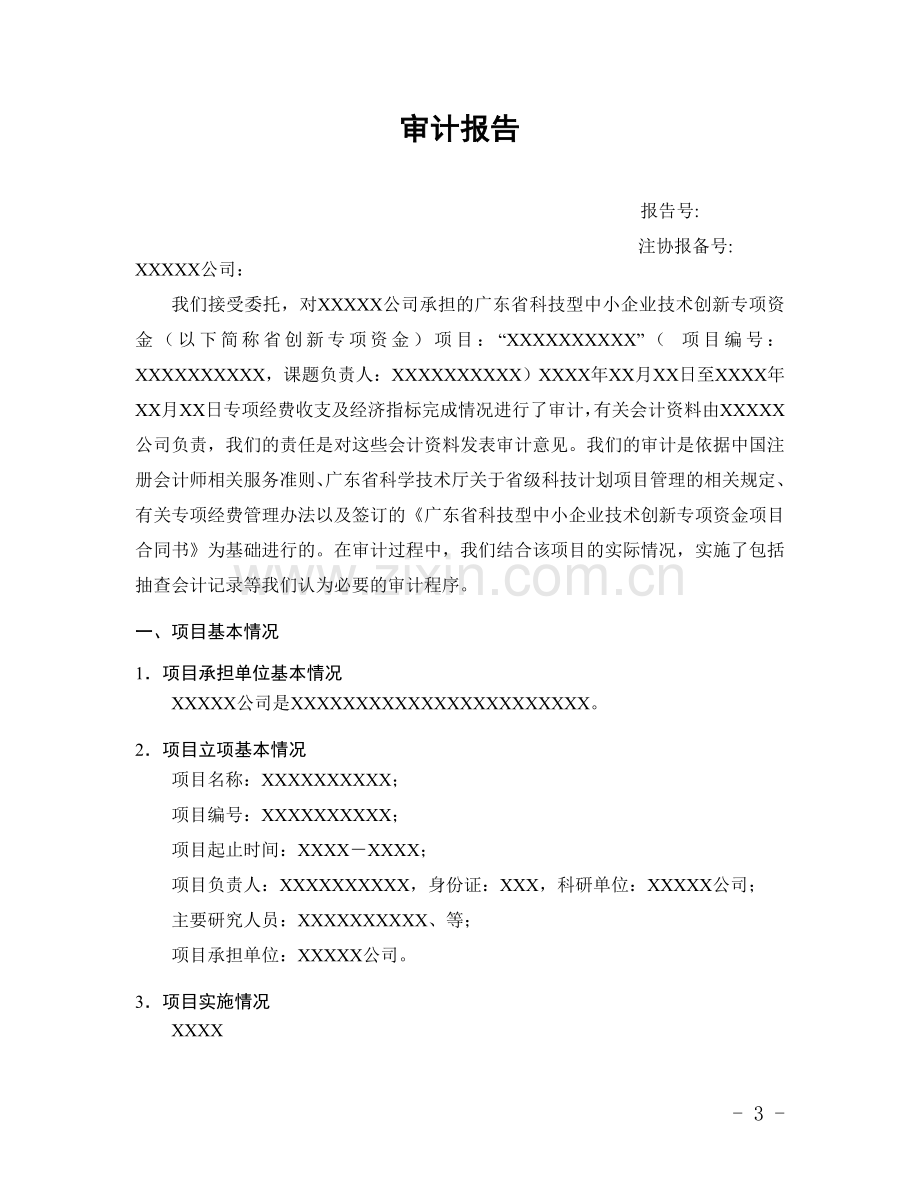 广东省科技型中小企业技术创新专项资金项目专项审计报告参考样式(2015版).doc_第3页