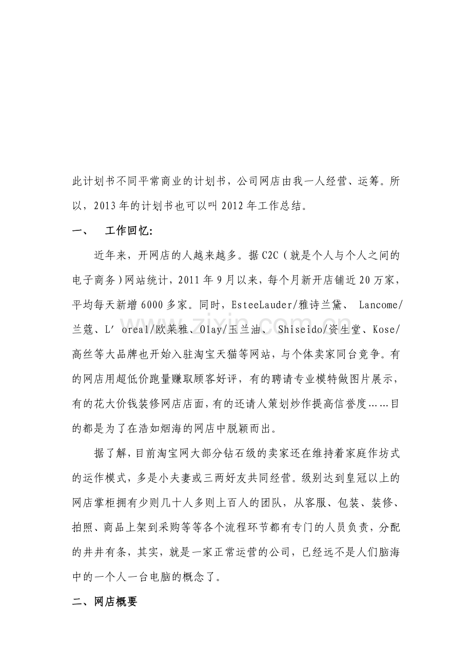 2013年网店企业发展计划书.doc_第1页