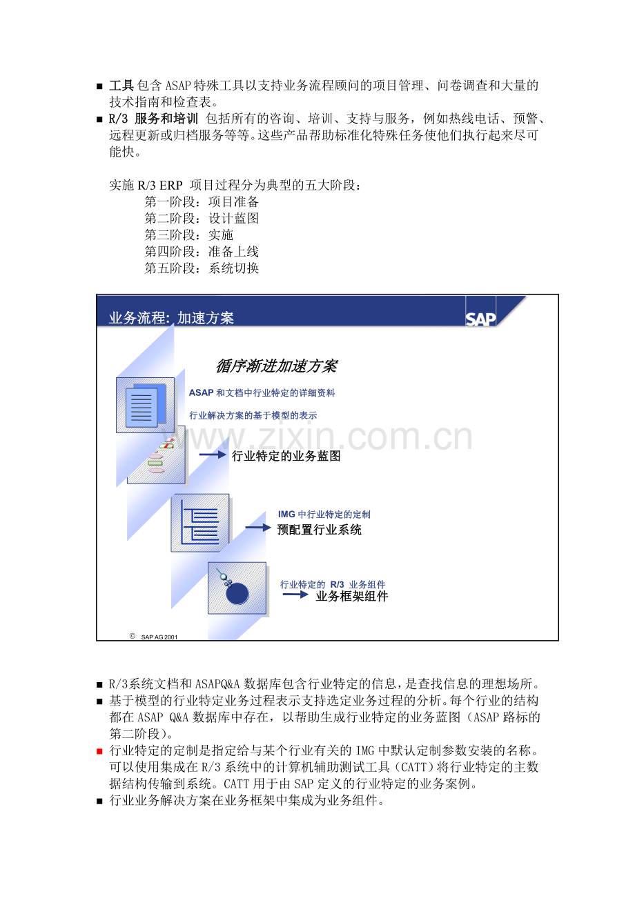 SAP实施方法和流程.doc_第2页