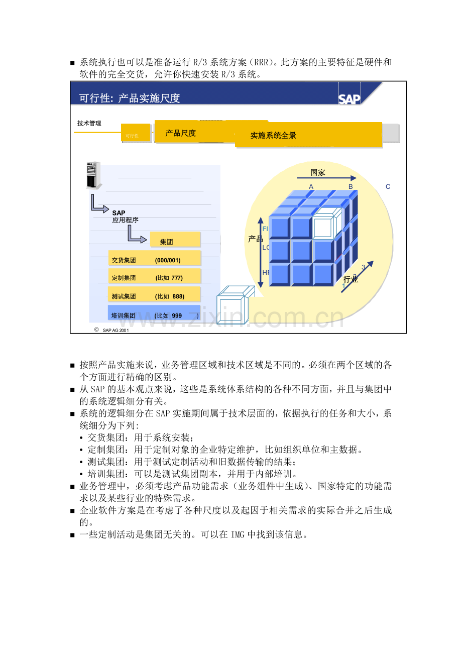 SAP实施方法和流程.doc_第3页