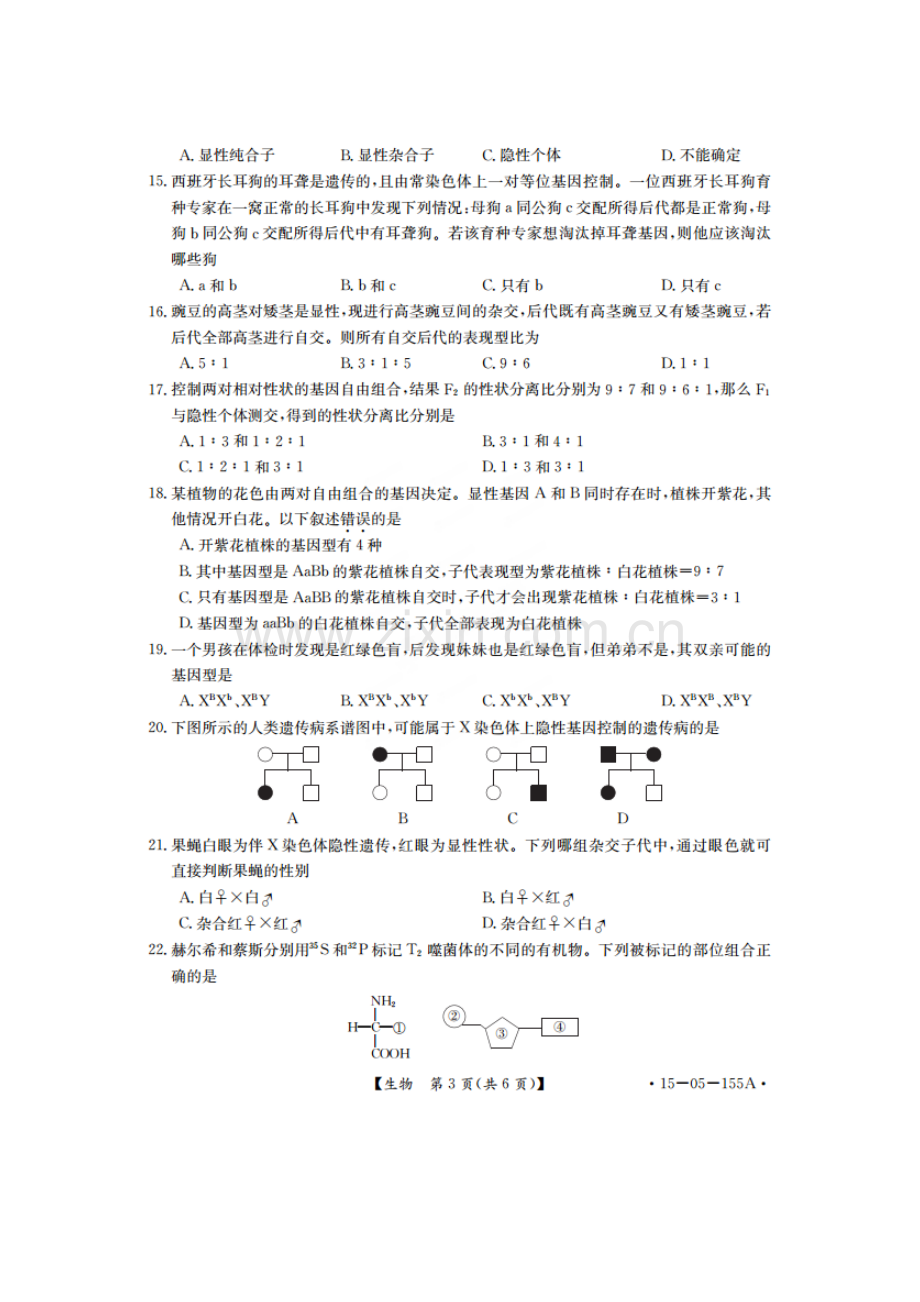 高一生物下册摸底考试试题.doc_第3页