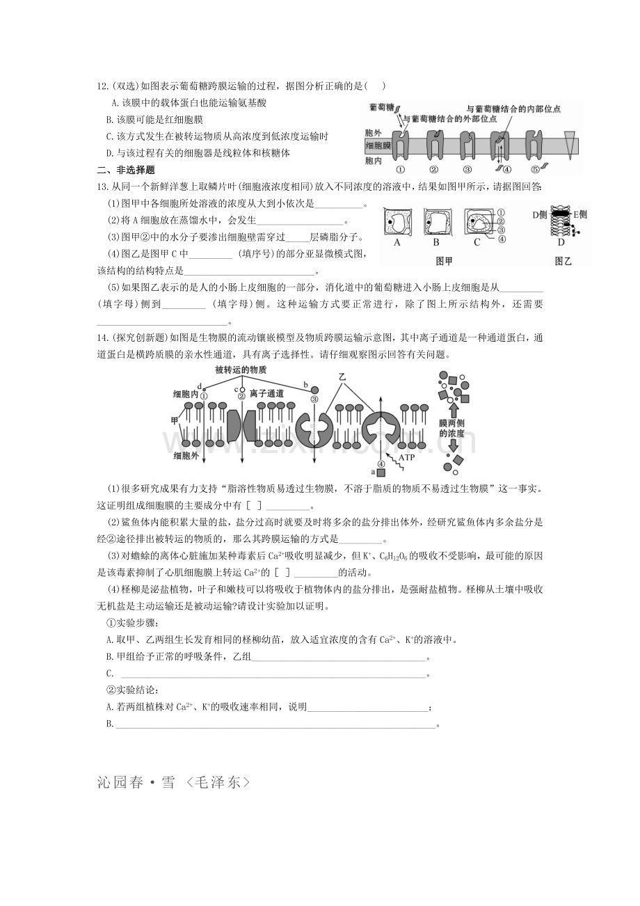 高一生物上册基础巩固综合测试题8.doc_第2页