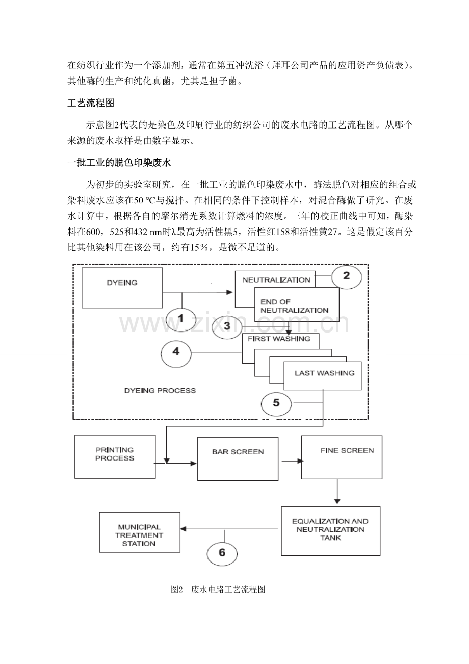 翻译1酶脱色.doc_第3页