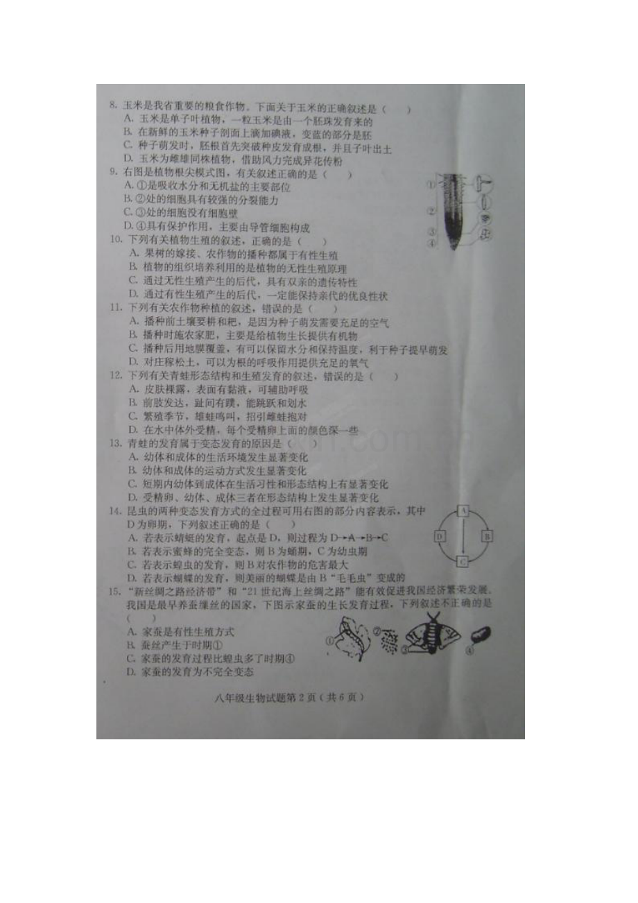 2015-2016学年八年级生物上册期中调研测试11.doc_第2页