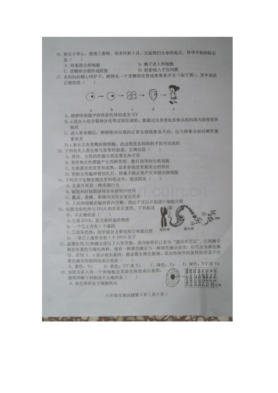 2015-2016学年八年级生物上册期中调研测试11.doc_第3页