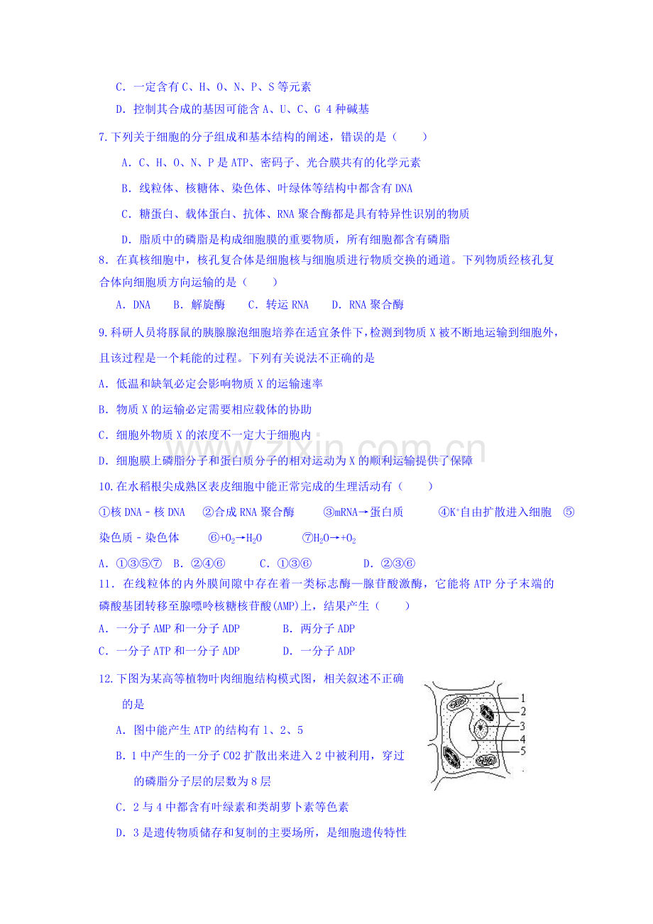 浙江省舟山中学2016届高三生物上册期中试题.doc_第2页