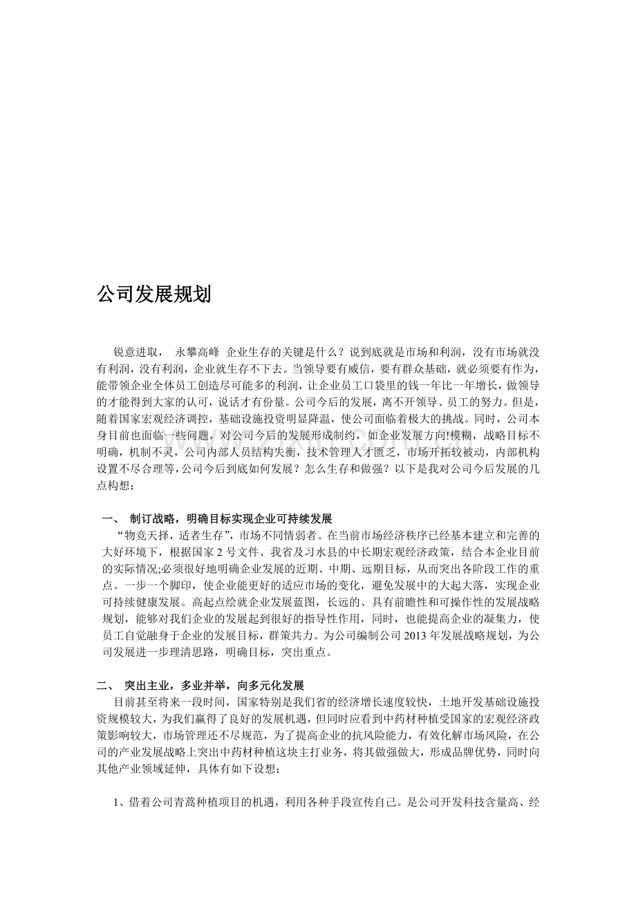 公司前期发展规划.doc_第1页