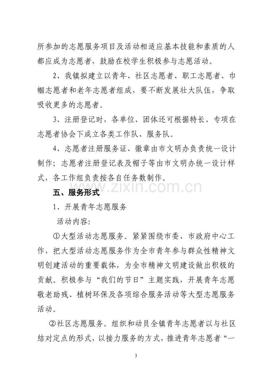 乡镇志愿服务活动方案.doc_第3页