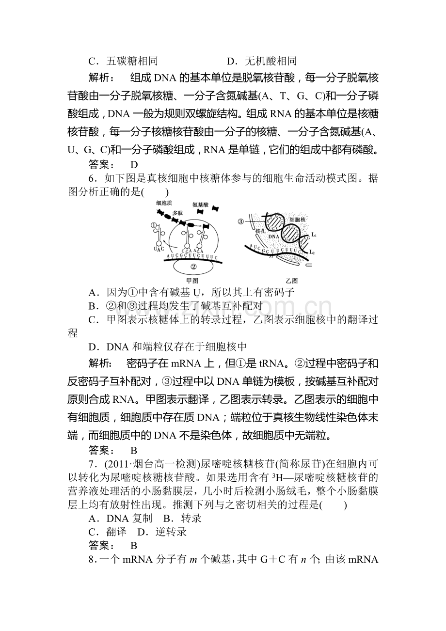 高一生物必修2知识点课下作业题13.doc_第3页