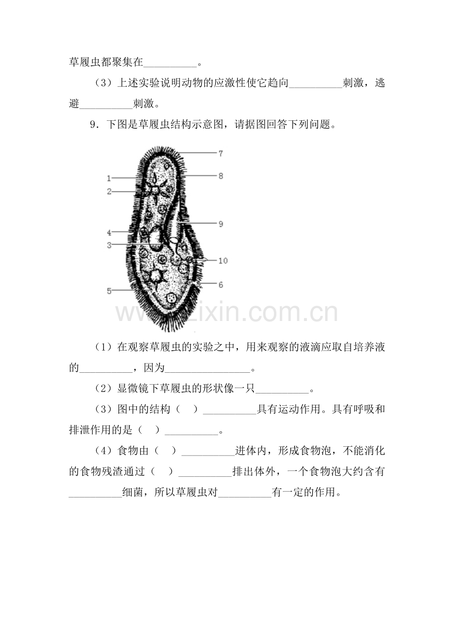 单细胞生物练习题4.doc_第2页