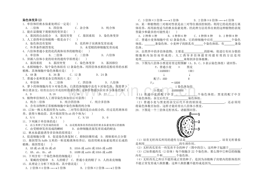 染色体变异(2).doc_第1页