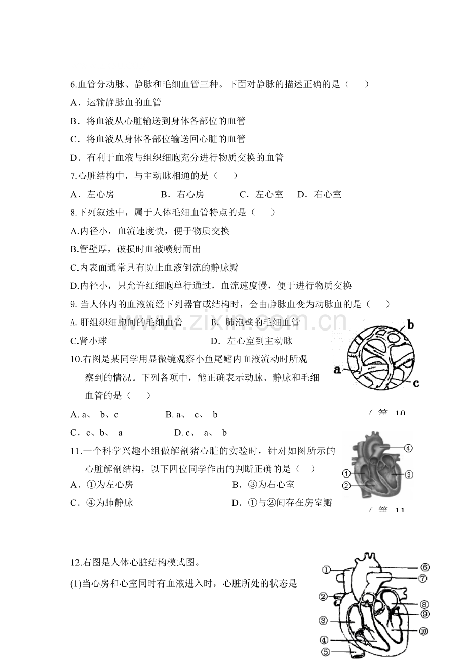 七年级生物下学期阶段考试题4.doc_第2页