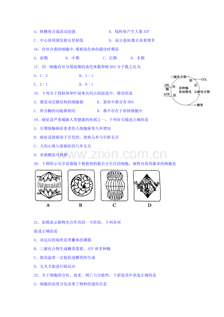 江苏省响水中学2015-2016学年高一生物上册期末试题.doc_第3页