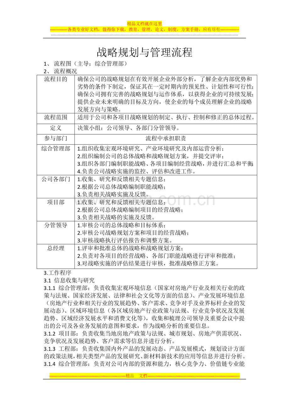 战略规划与管理流程.docx_第1页