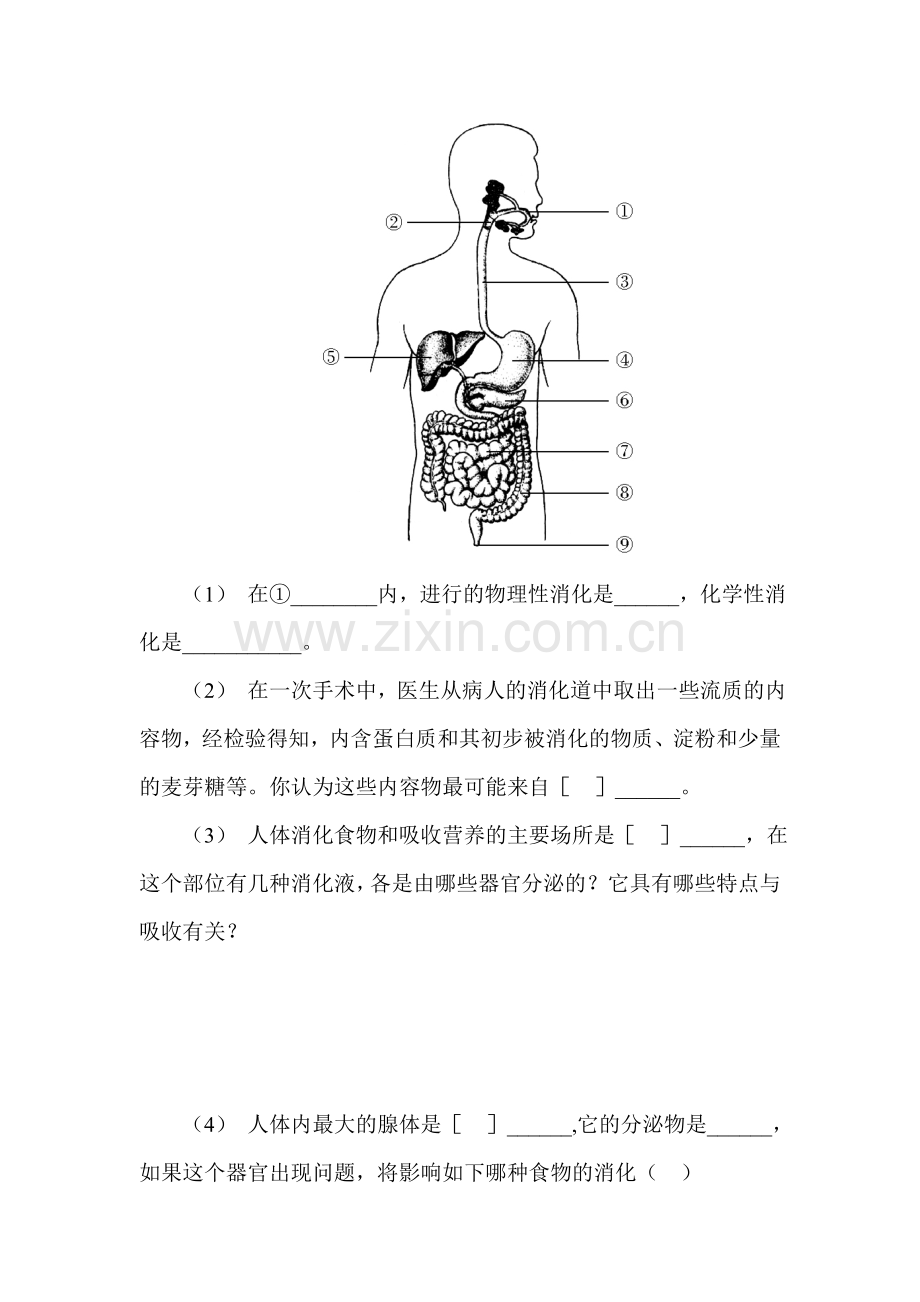 2015-2016学年七年级生物下册课时训练29.doc_第3页