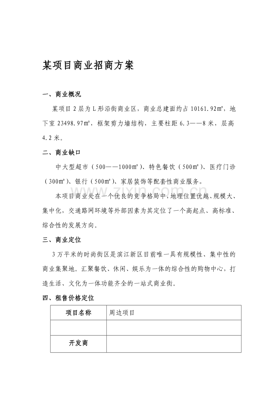 某项目商业招商方案.doc_第1页