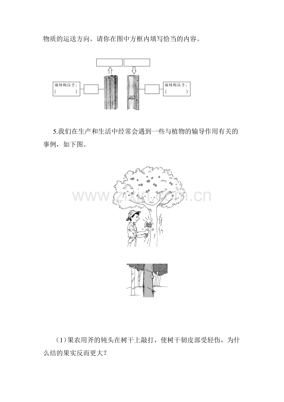 七年级生物上学期课时综合测评试题3.doc_第2页