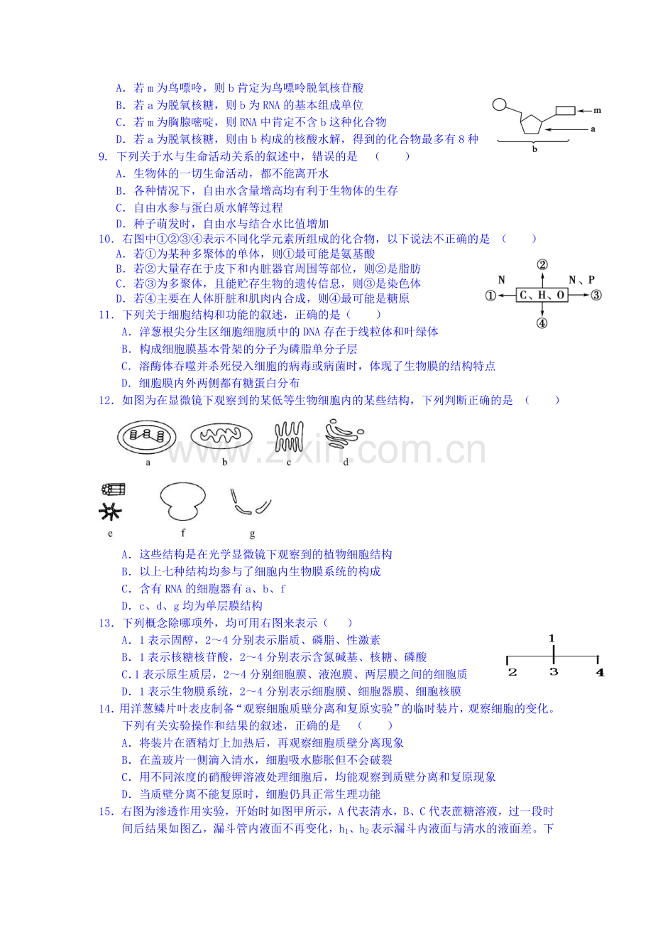 高二生物下册6月月考调研考试试卷5.doc_第2页