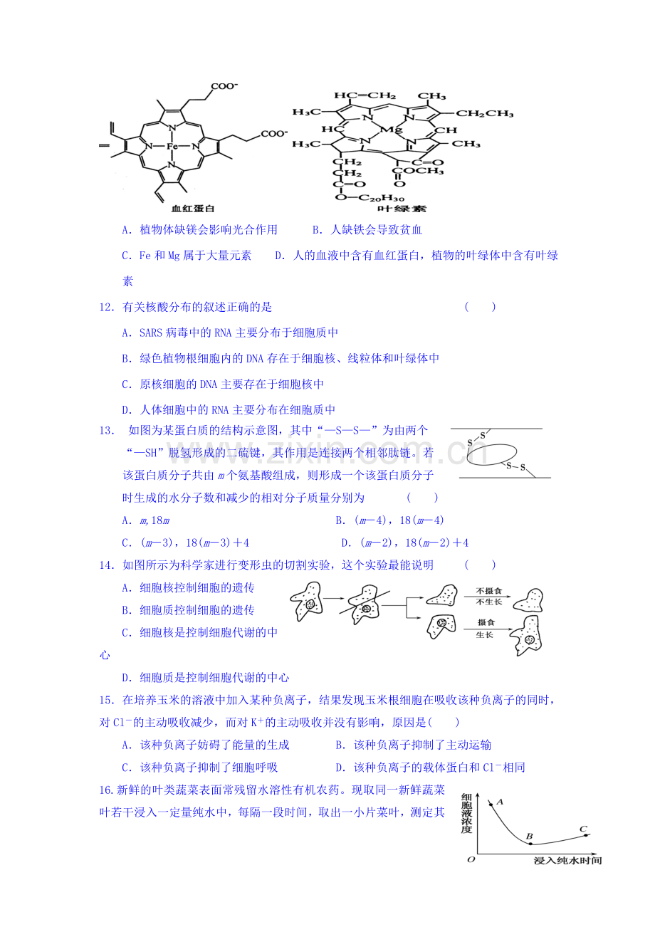 河南省三门峡市2015-2016学年高一生物上册期中试题.doc_第3页