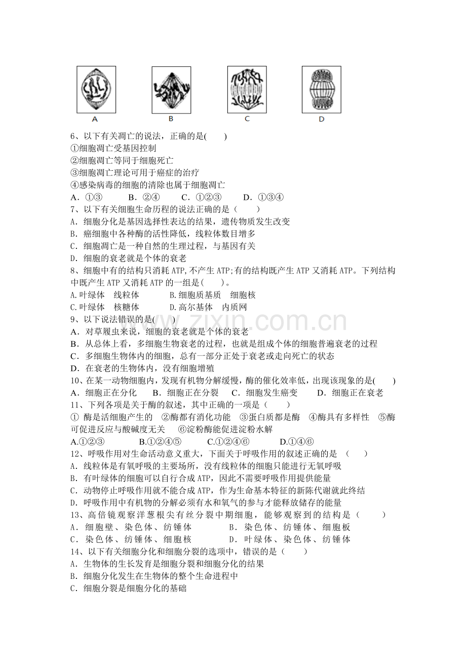 湖北省广水市2015-2016学年高一生物下册3月月考试题.doc_第2页