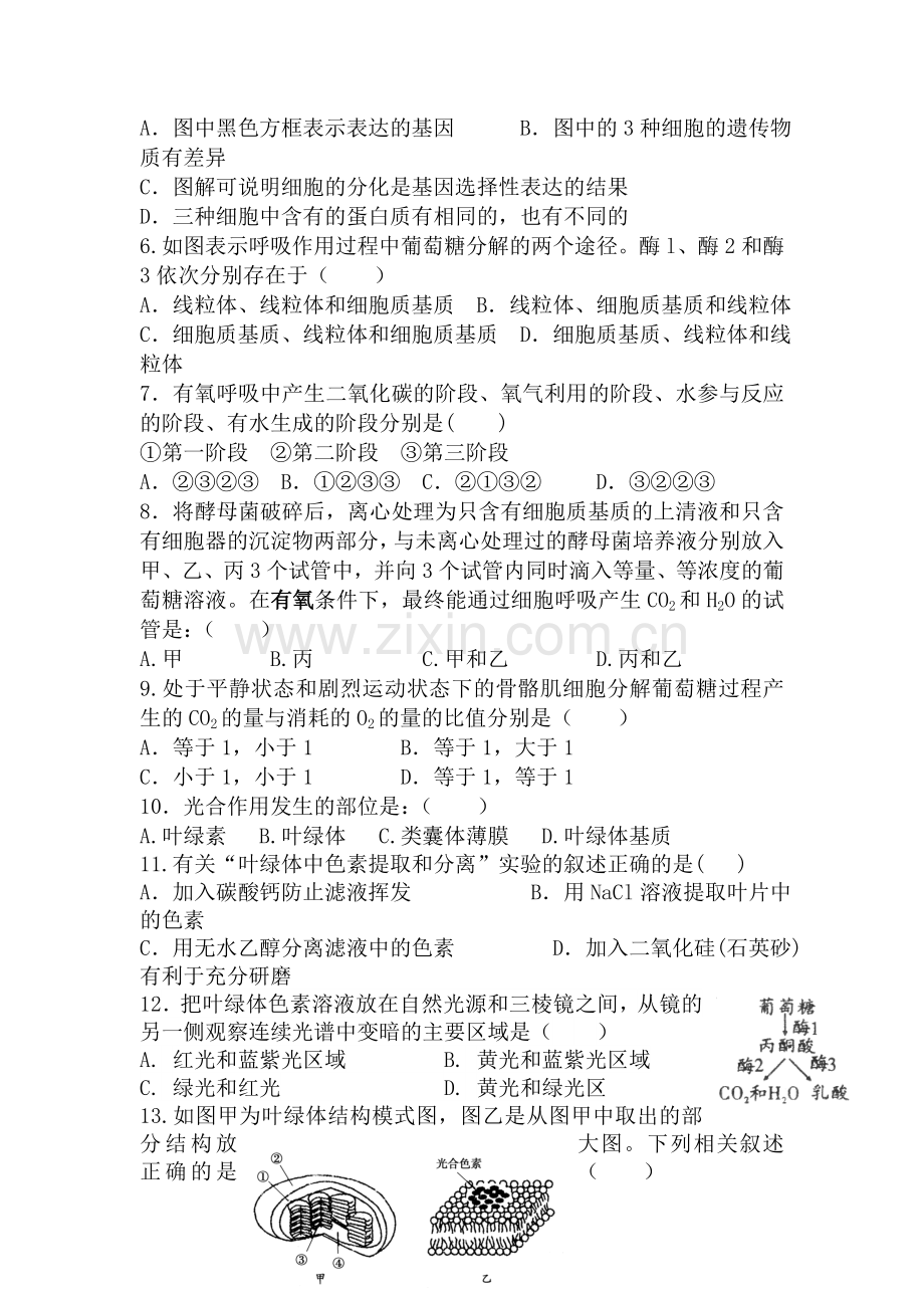 福建省连江2015-2016学年高一生物下册期中考试题.doc_第2页