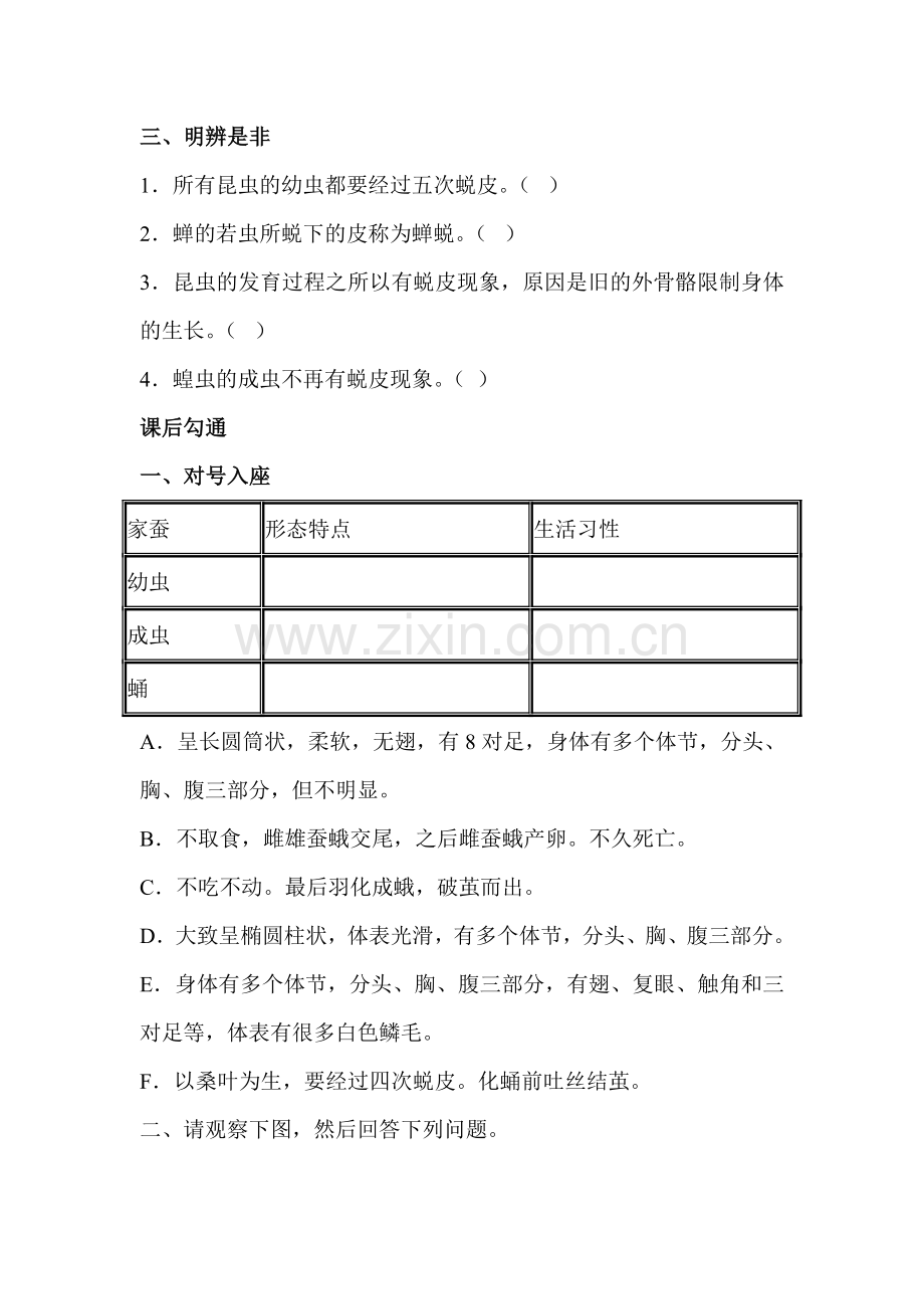 昆虫的生殖和发育同步练习2.doc_第3页