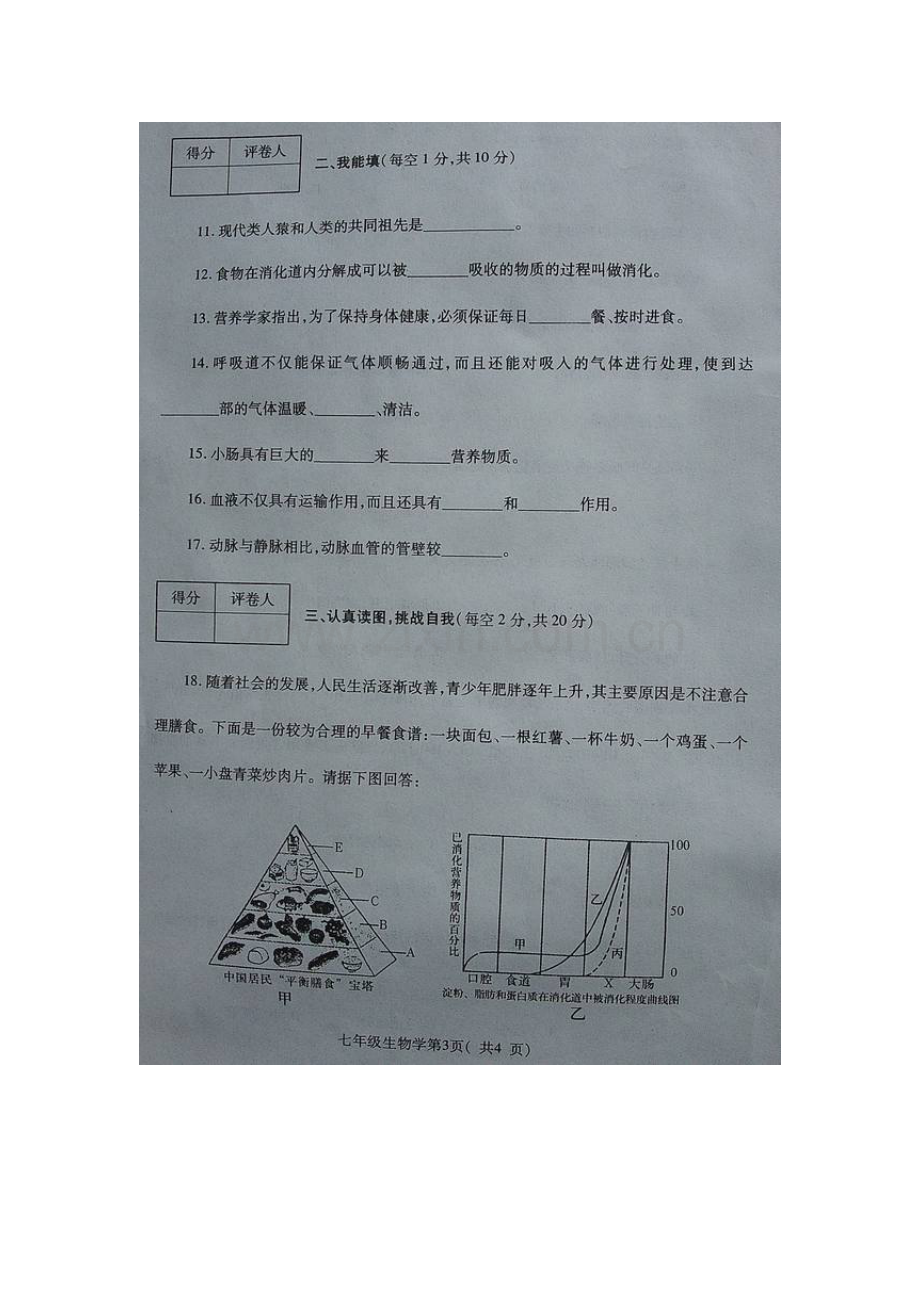 2015-2016学年七年级生物上册期中试卷11.doc_第2页