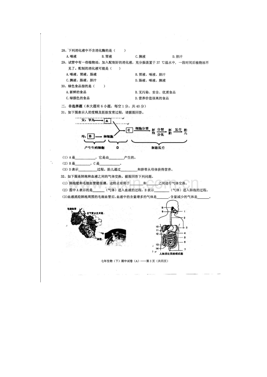 广东省汕头市2015-2016学年七年级生物下册期中试题.doc_第3页