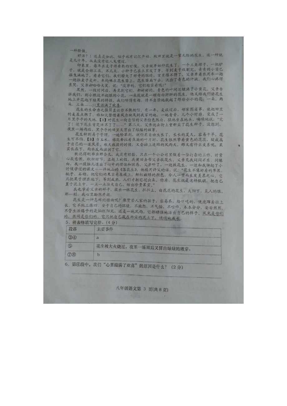 安徽省宿州市2015-2016学年八年级语文下册期末检测试题.doc_第3页