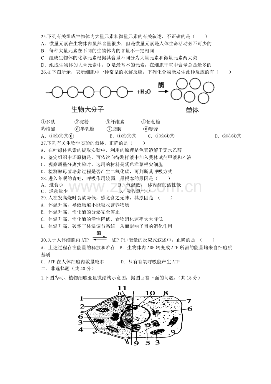 江西省上饶市2015-2016学年高一生物上册期末试题1.doc_第3页