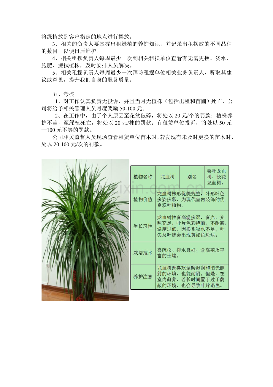 成都绿植租赁报价表及管理制度.doc_第2页