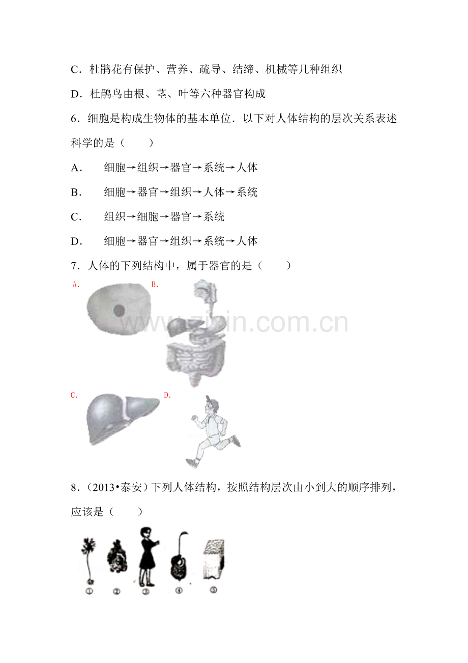 人体的组成课时练习2.doc_第2页