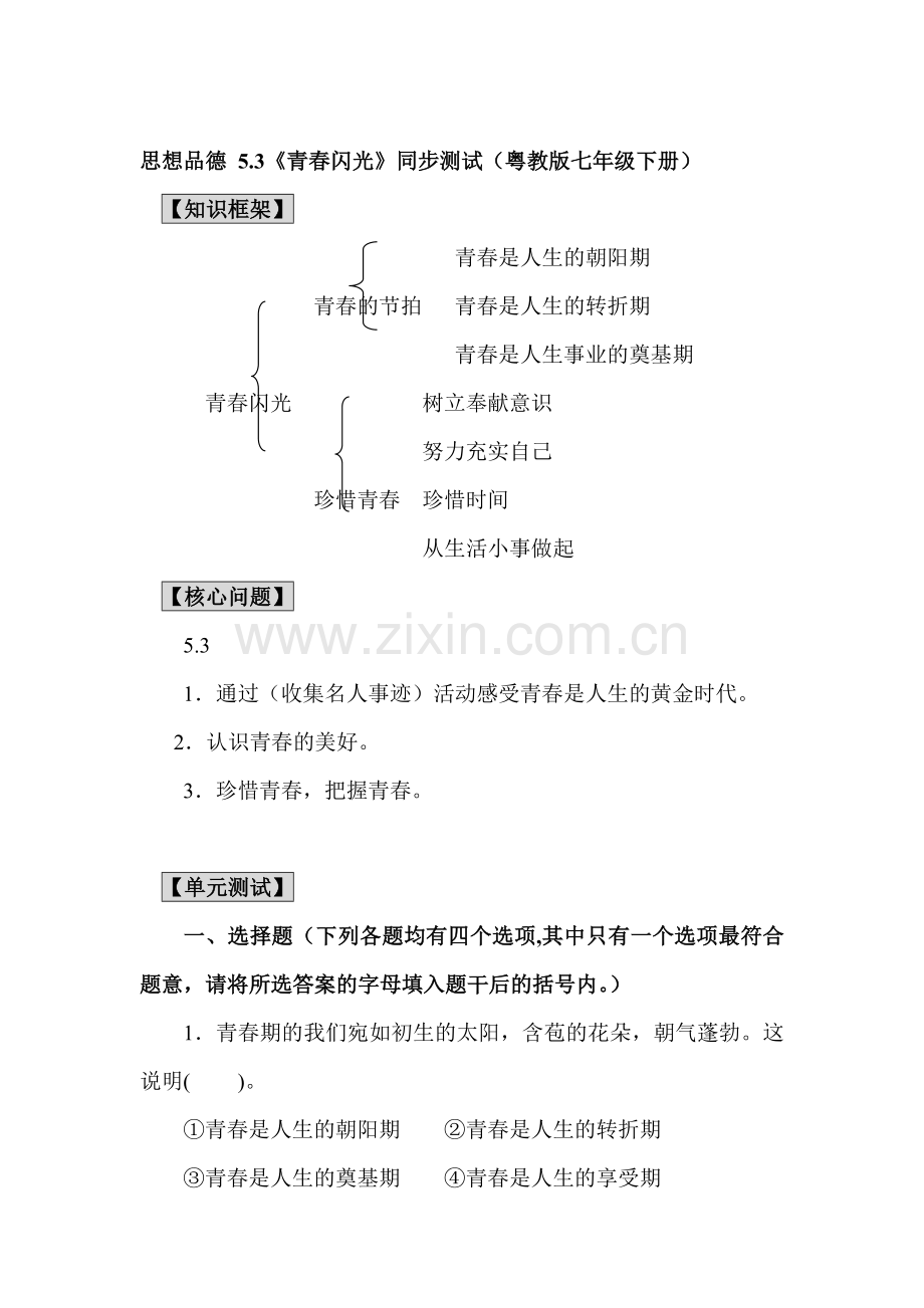 青春闪光同步测试.doc_第1页