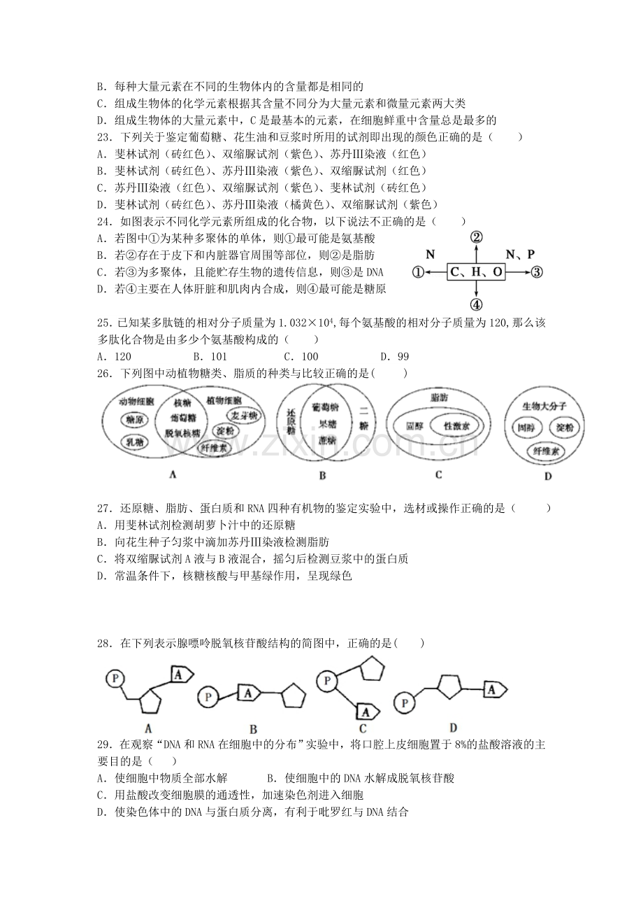 高一生物上册第一次月考质量检测试卷8.doc_第3页