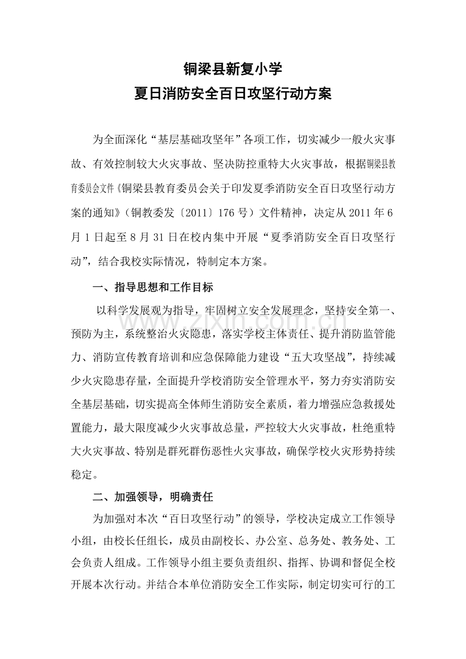 夏日消防安全百日攻坚行动方案.doc_第1页