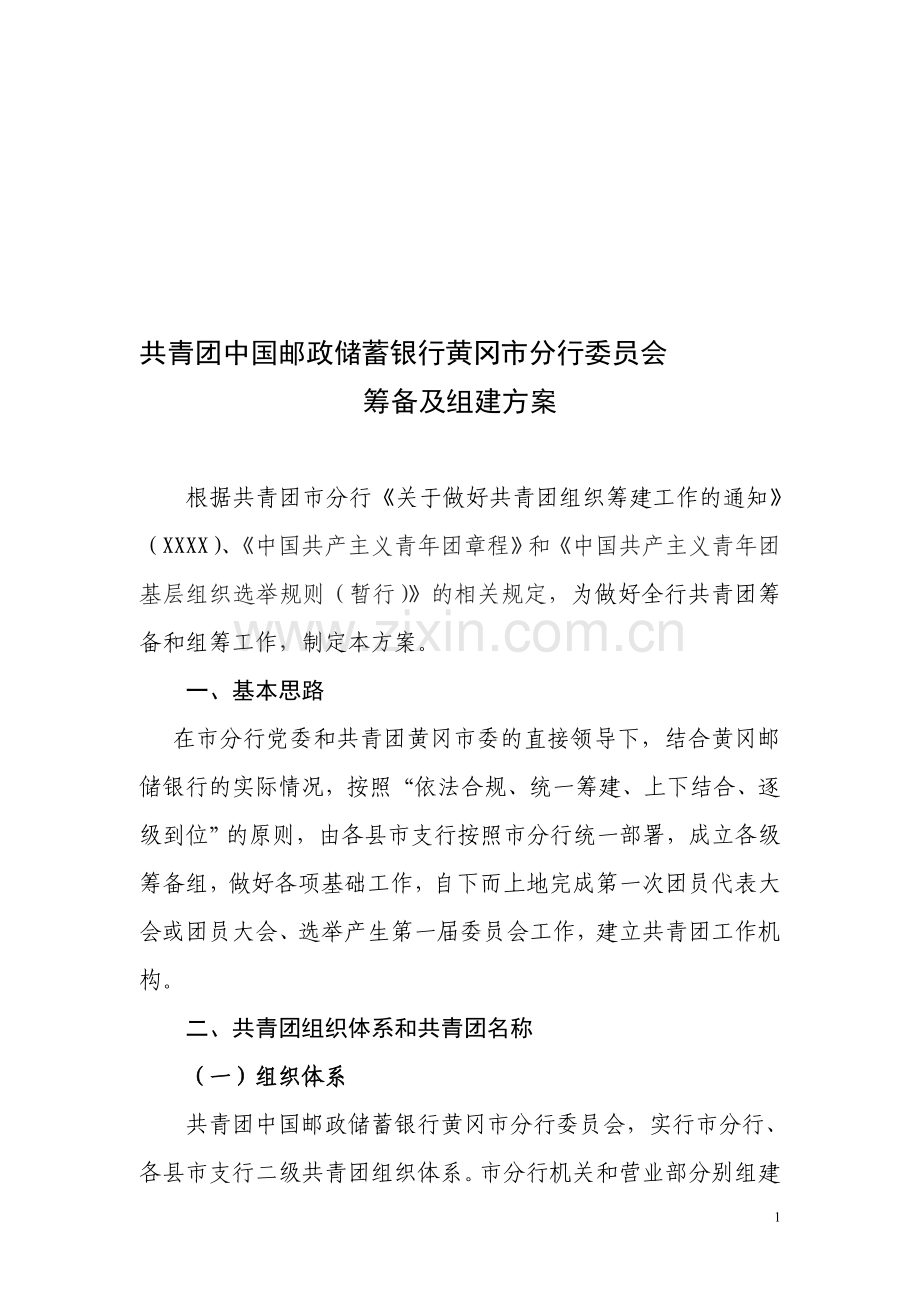 共青团分行委员会组建和筹备方案.doc_第1页