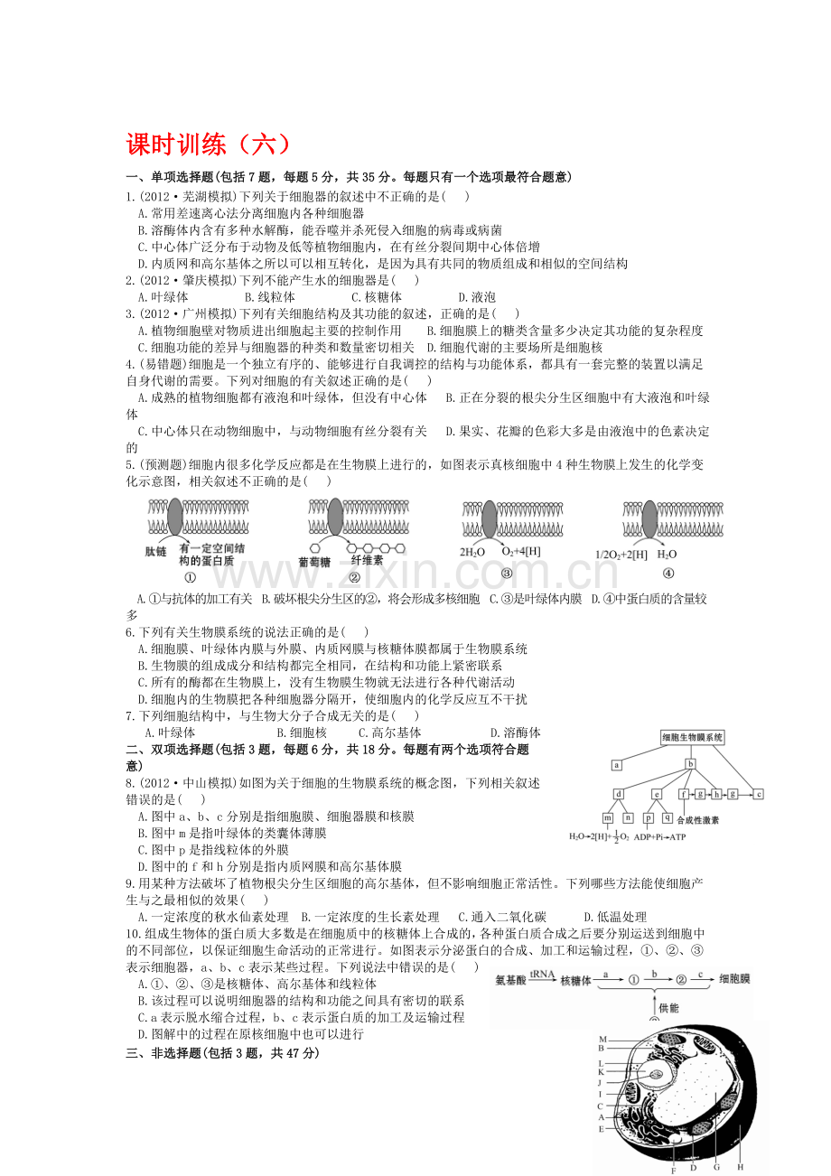 高一生物上册基础巩固综合测试题7.doc_第1页