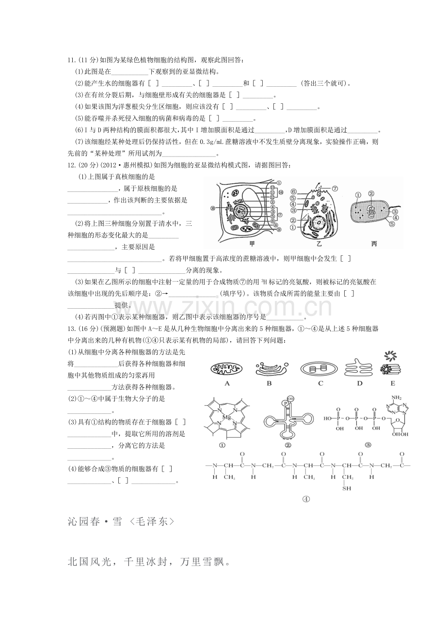 高一生物上册基础巩固综合测试题7.doc_第2页