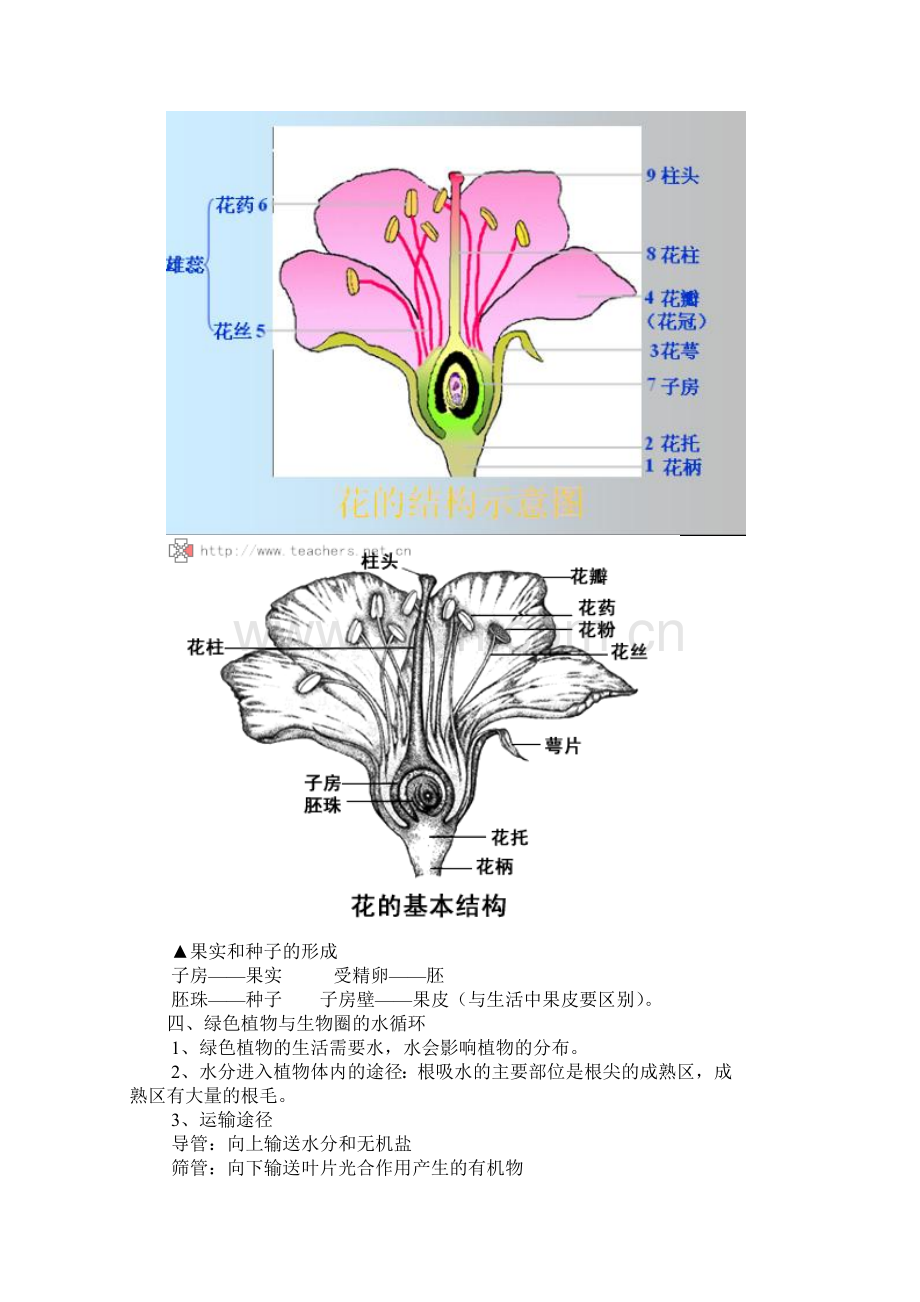 七年级生物上学期单元综合测试题20.doc_第3页