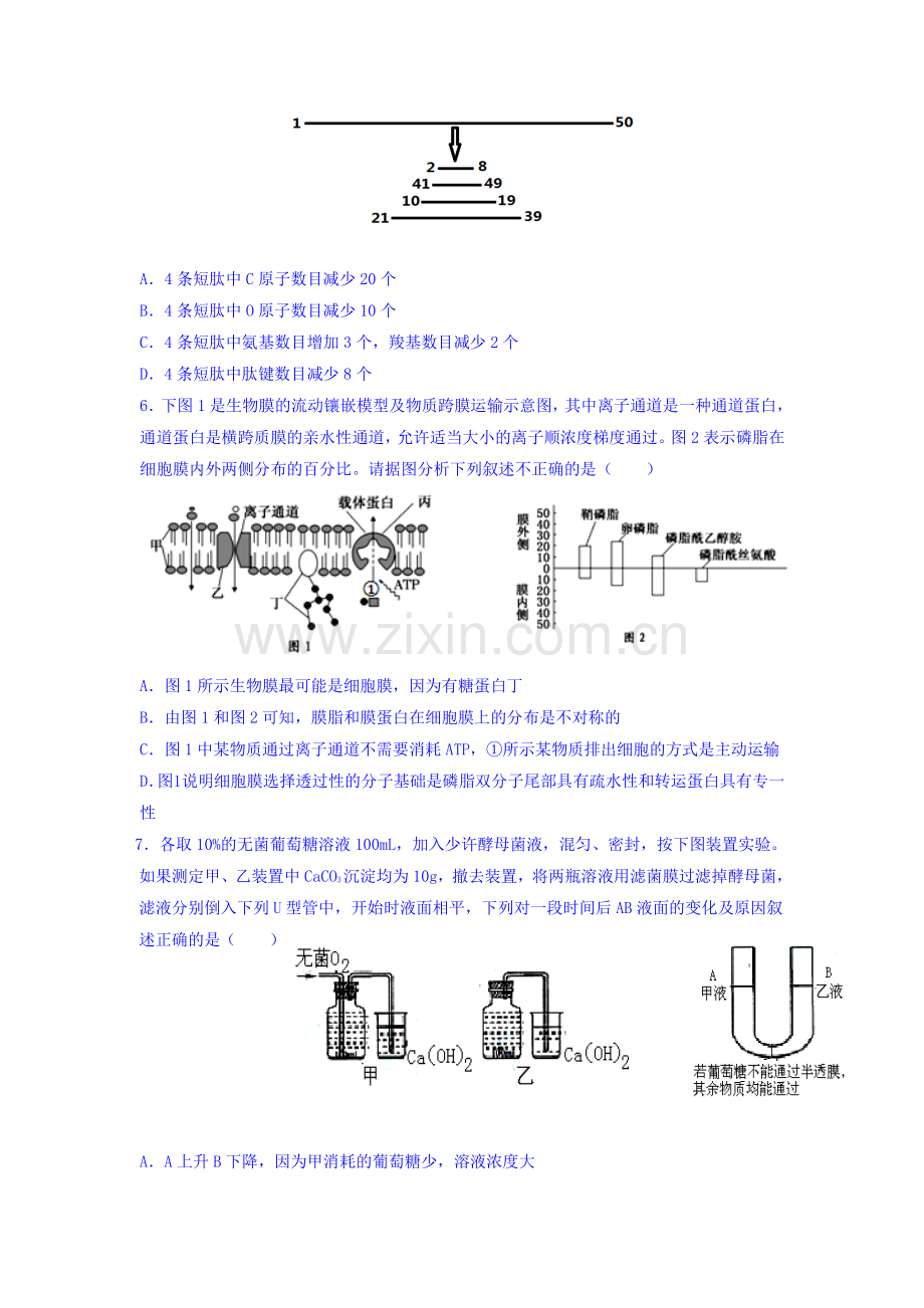 四川省雅安中学2016-2017学年高二生物下册期中考试题.doc_第2页