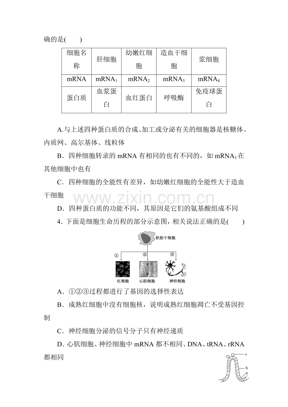 2016届高三生物第二轮复习课前诊断卷4.doc_第2页