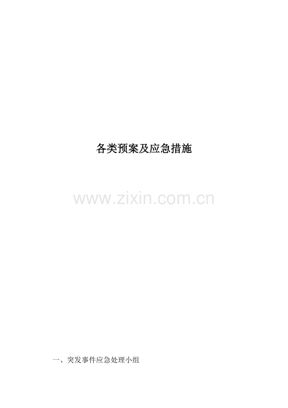 应急预案及措施全套.doc_第2页