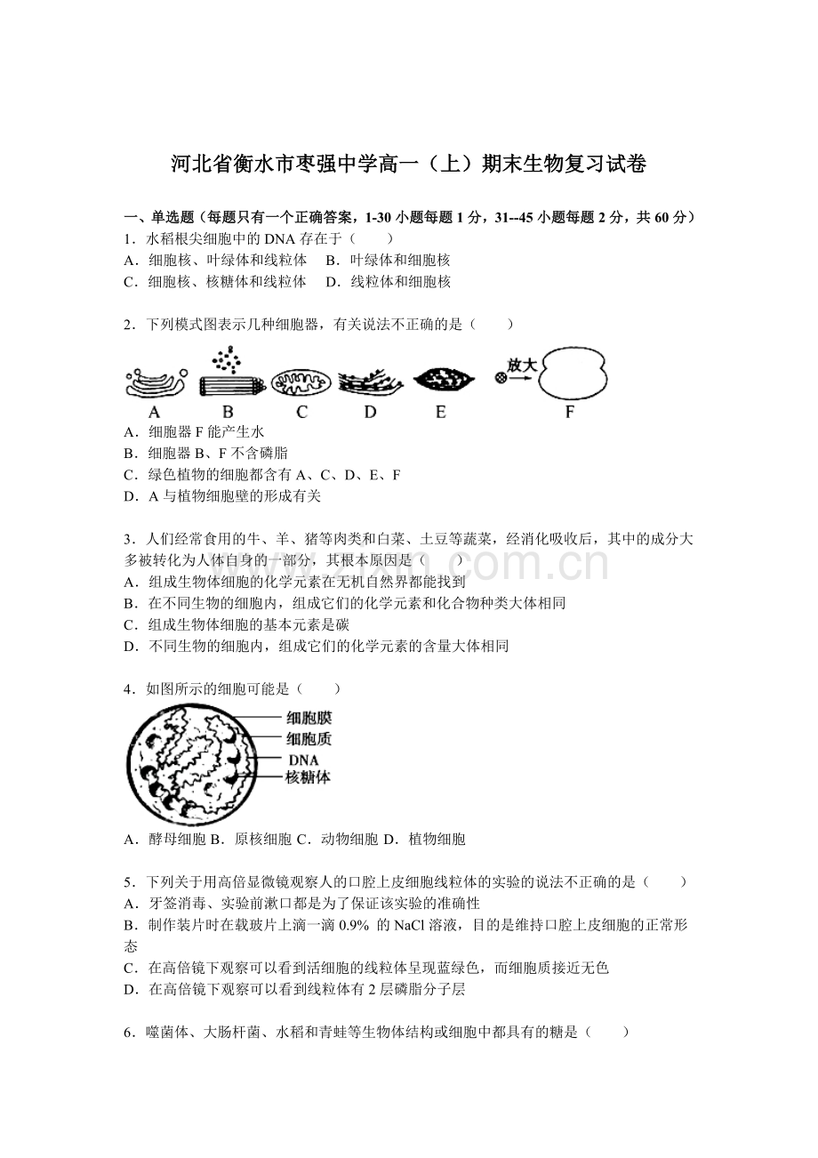 河北省衡水市2015-2016学年高一生物上册期末检测试题.doc_第1页