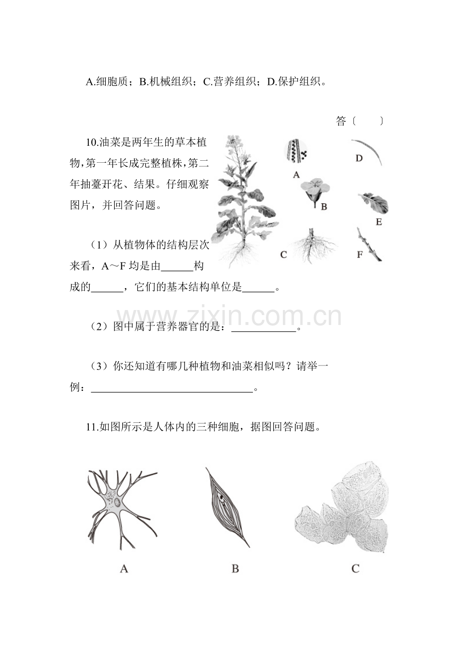 七年级生物上学期课时综合测评试题13.doc_第3页