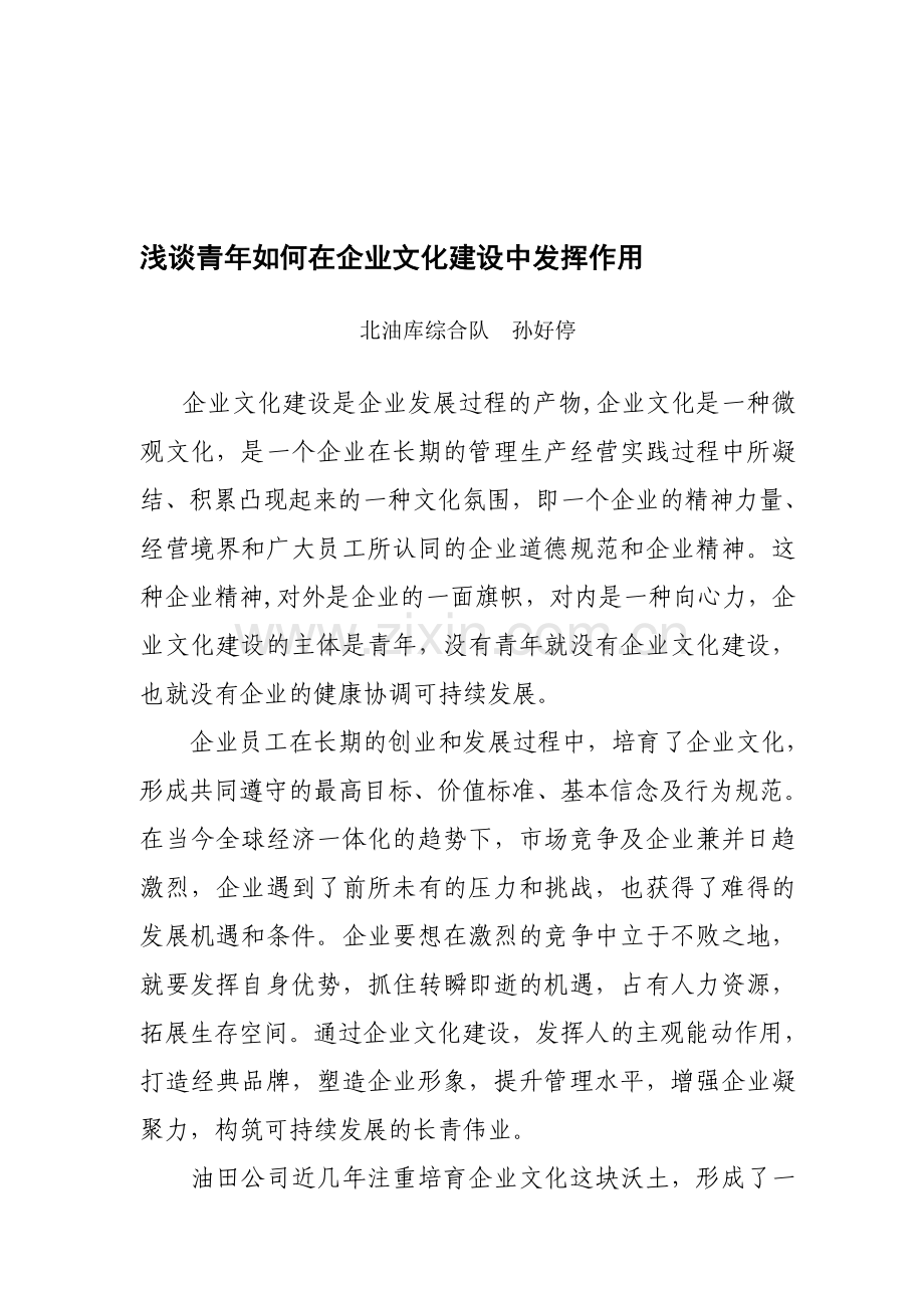 浅谈青年如何在企业文化建设中发挥作用.doc_第1页