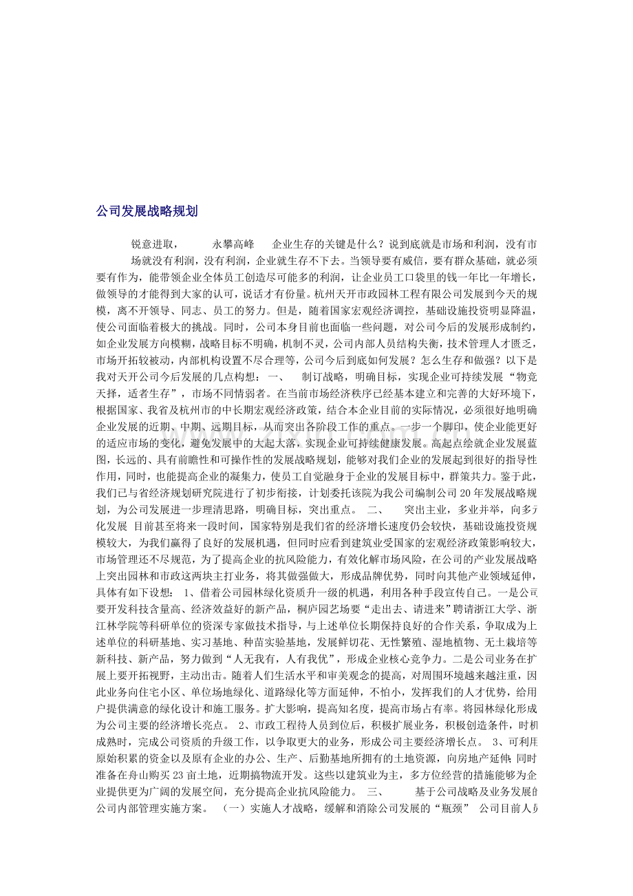 公司战略发展规划.doc_第1页