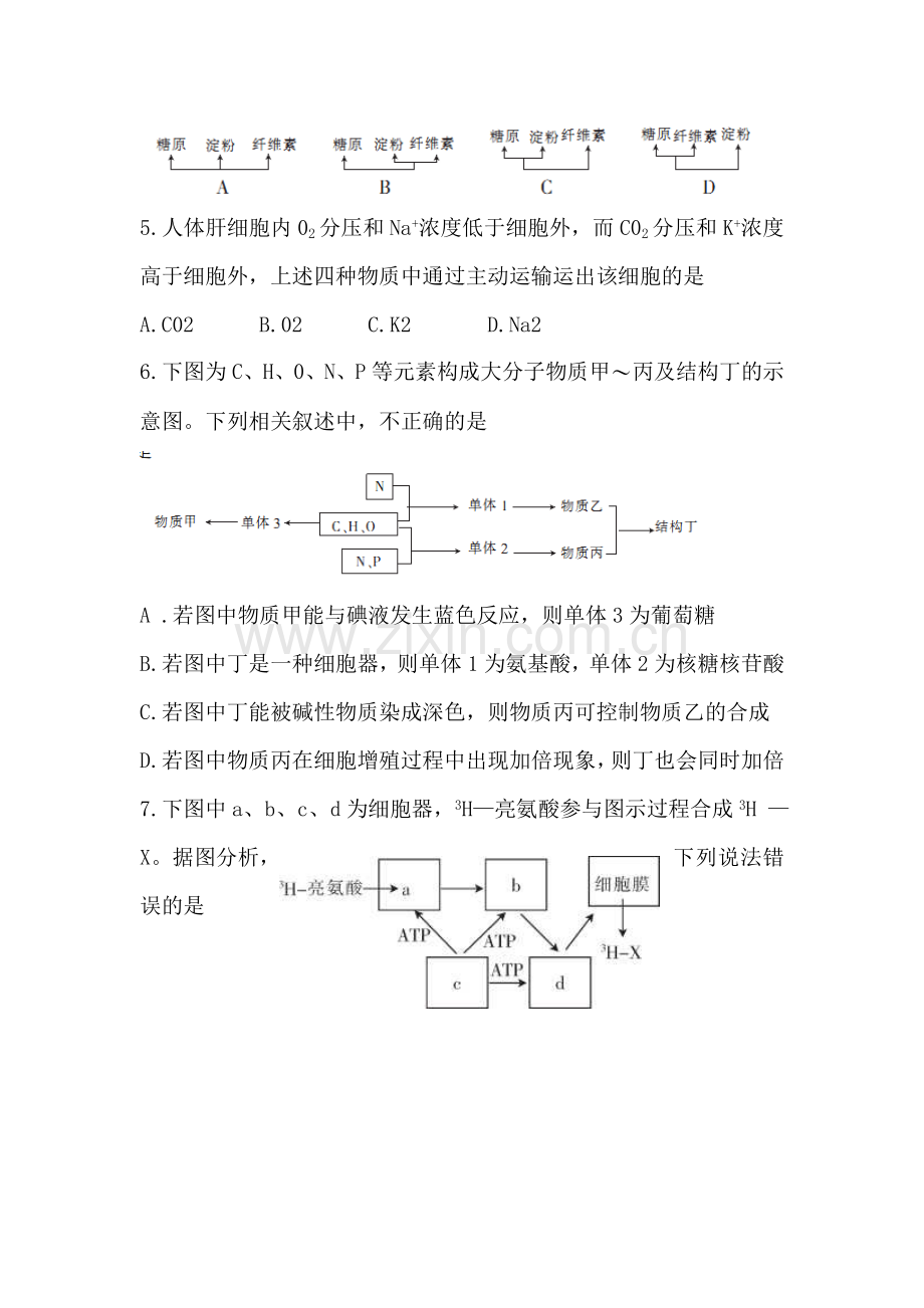 2016届高三生物上册11月月考试题.doc_第2页